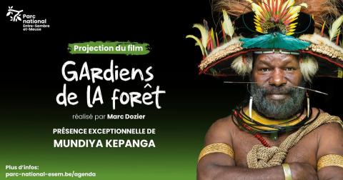 gardiens de la forêt