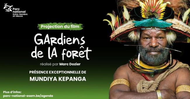 gardiens de la forêt